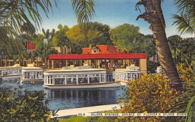 Silver Springs, Source of Florida's Silver River Postcard