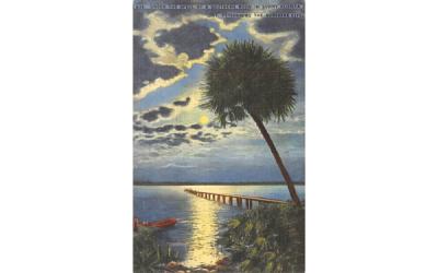 Southern Moon in Sunny Florida, USA Postcard