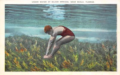 Under Water at Silver Springs, FL, USA Florida Postcard