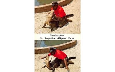 Chris Lightburn, St. Augustine Alligator Farm St Augustine, Florida Postcard