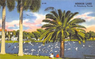 Mirror Lake St Petersburg, Florida Postcard