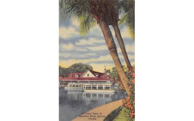 Front View of Beautiful Silver Springs, FL, USA Florida Postcard