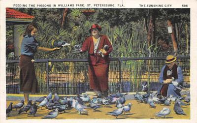 Feeding the Pigeons in Williams Park St Petersburg, Florida Postcard