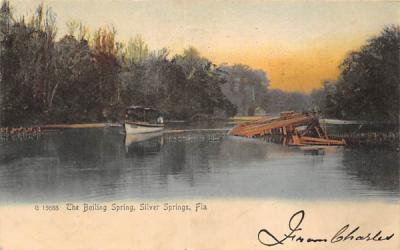 The Boiling Spring Silver Springs, Florida Postcard