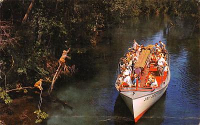 Safe Electrically Propelled Glass Bottom Boats Silver Springs, Florida Postcard