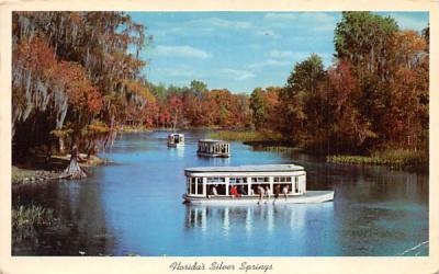 Florida's Silver Springs, USA Postcard
