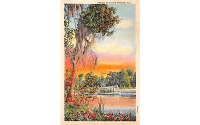 Sunset at Silver Springs, FL, USA Florida Postcard