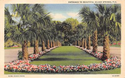 Entrance to Beautiful Silver Springs, FL, USA Florida Postcard