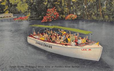Jungle Cruise on Tropical Silver River Silver Springs, Florida Postcard