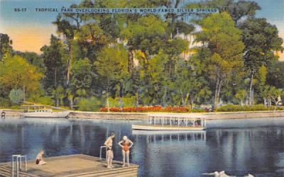 Tropical Park  Silver Springs, Florida Postcard