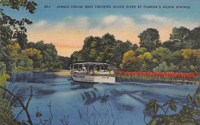 Jungle Cruise Boat Cruising Silver River Silver Springs, Florida Postcard
