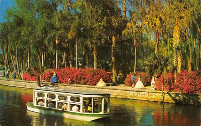 Safe Electrically Propelled Glass Bottom Boats Silver Springs, Florida Postcard