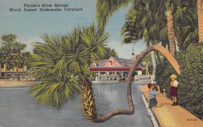 Silver Springs World Famed Underwater Fairyland Florida Postcard