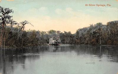 At Silver Springs, FL, USA Florida Postcard