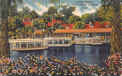 Silver Springs, FL, USA Florida Postcard