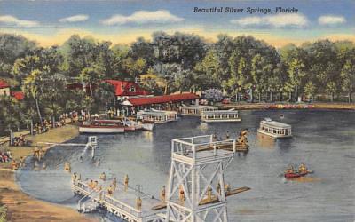 Beautiful Silver Springs, FL, USA Florida Postcard