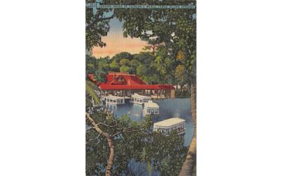 Florida's World Famed Silver Springs, USA Postcard