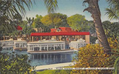 Silver Springs, FL, USA Florida Postcard