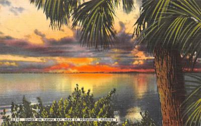 Sunset on Tampa Bay St Petersburg, Florida Postcard