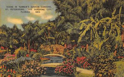Scene in Turner's Sunken Gardens St Petersburg, Florida Postcard