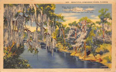 Beautiful Suwannee River Florida Postcard