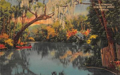 The Tranquil Suwannee River, FL, USA Florida Postcard