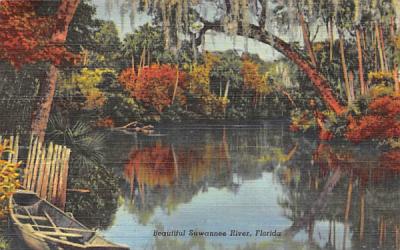 Beautiful Suwannee River, FL, USA Florida Postcard