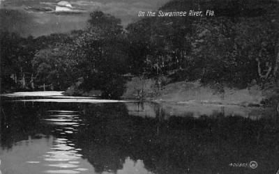 On the Suwannee River, FL, USA Florida Postcard