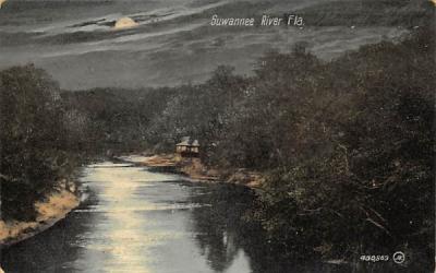 Suwannee River, FL, USA Florida Postcard