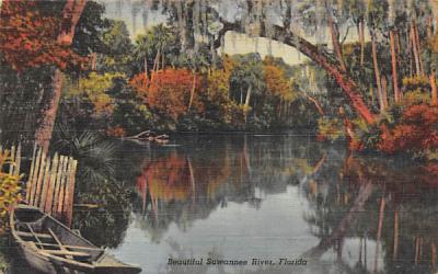 Beautiful Suwannee River Florida Postcard