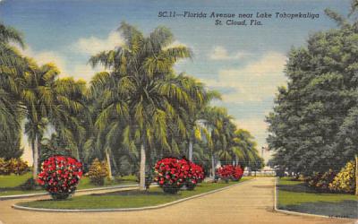Florida Avenue near Lake Tohopekaliga Postcard