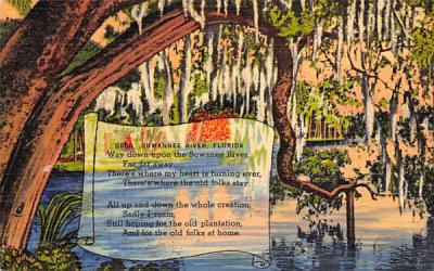 Suwannee River, FL, USA Florida Postcard