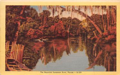 The Beautiful Suwannee River, FL, USA Florida Postcard