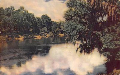 Suwannee River Florida Postcard