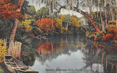 Beautiful Suwannee River, FL, USA Florida Postcard