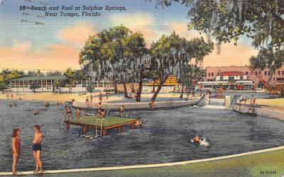 Beach and Pool  Sulphur Springs, Florida Postcard
