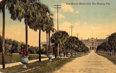 Sea Breeze Boulevard Seabreeze, Florida Postcard