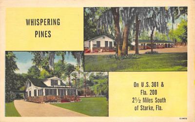 Whispering Pines Starke, Florida Postcard