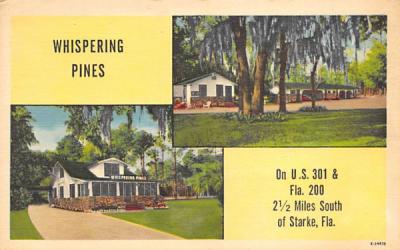 Whispering Pines Starke, Florida Postcard