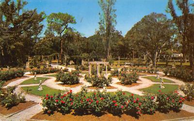 Mable Ringling's Rose Garden  Sarasota, Florida Postcard
