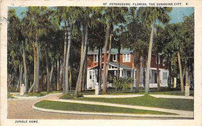 Jungle Home St Petersburg, Florida Postcard