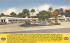 Palms Motor Court St Augustine, Florida Postcard