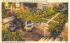 The Spring and Cross at the Fountain of Youth St Augustine, Florida Postcard