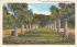 Entrance to Grounds at Silver Springs Florida Postcard