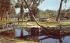 A Beautifully Landscaped, 100-acre park Silver Springs, Florida Postcard