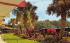 Beautiful Tropical Planting  Silver Springs, Florida Postcard