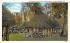 Picnicking Under Palm Covered Huts Silver Springs, Florida Postcard