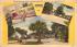 The Swan Motor Court St Augustine, Florida Postcard