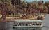 New-Glass Bottom Boats Silver Springs, Florida Postcard