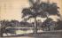 Palms Along the Shore of Mirror Lake St Petersburg, Florida Postcard